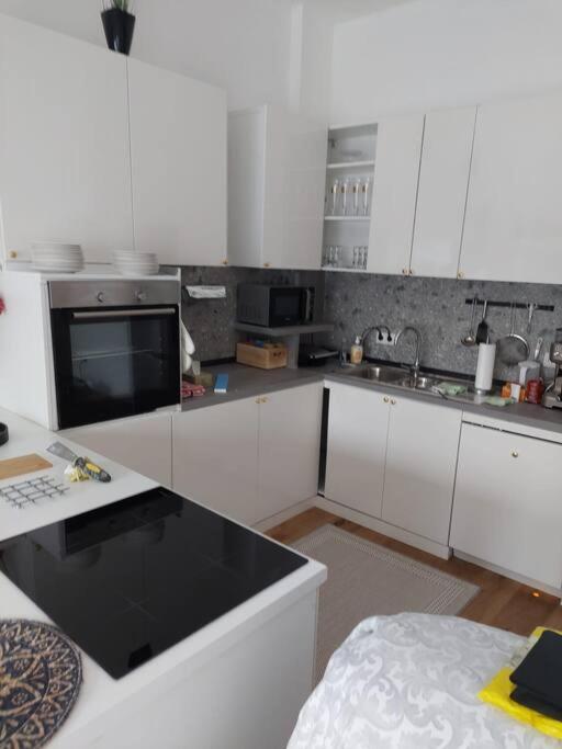 Stilvolle Wohnung Mit Terrasse/Garten Viyana Dış mekan fotoğraf