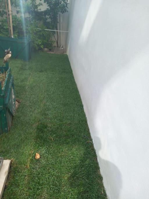 Stilvolle Wohnung Mit Terrasse/Garten Viyana Dış mekan fotoğraf